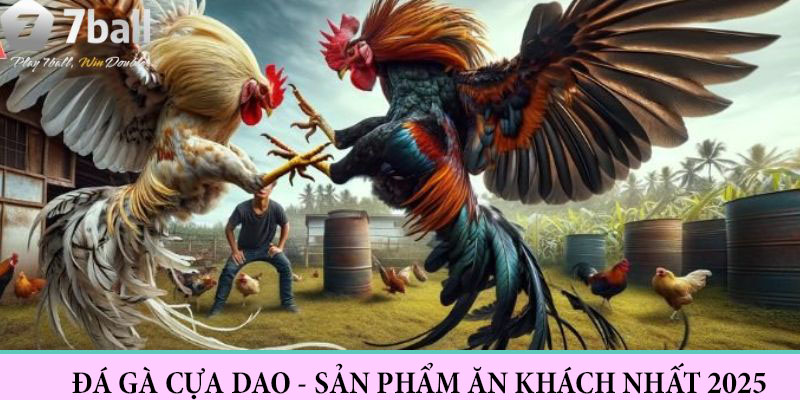 Lý do đá gà cựa dao trở nên nổi tiếng