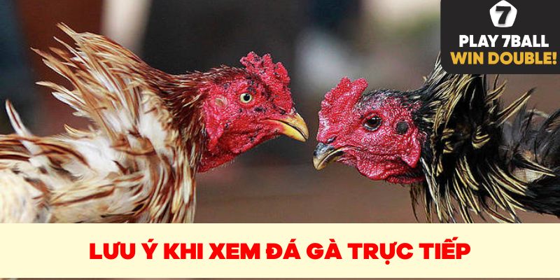 Một vài lưu ý khi đăng ký tài khoản chơi đá gà